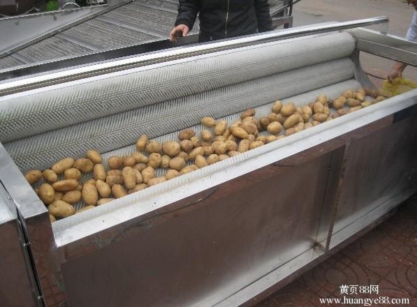 土豆清洗去皮機